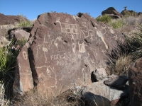 Petroglyphs at Alamo Mountain